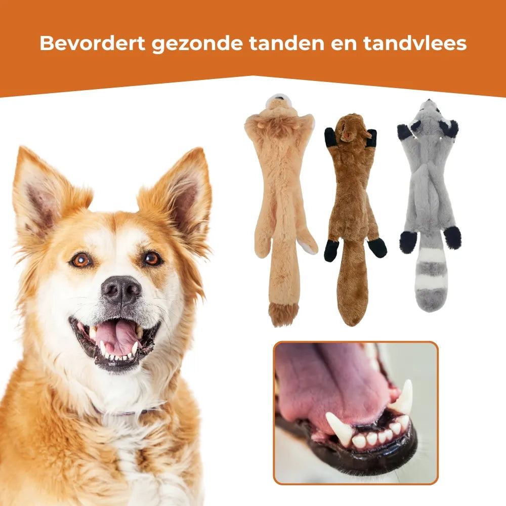 DoggoTuff® | Onverwoestbaar Kauwspeelgoed met Mondgezondheidsvoordelen voor Huisdieren!